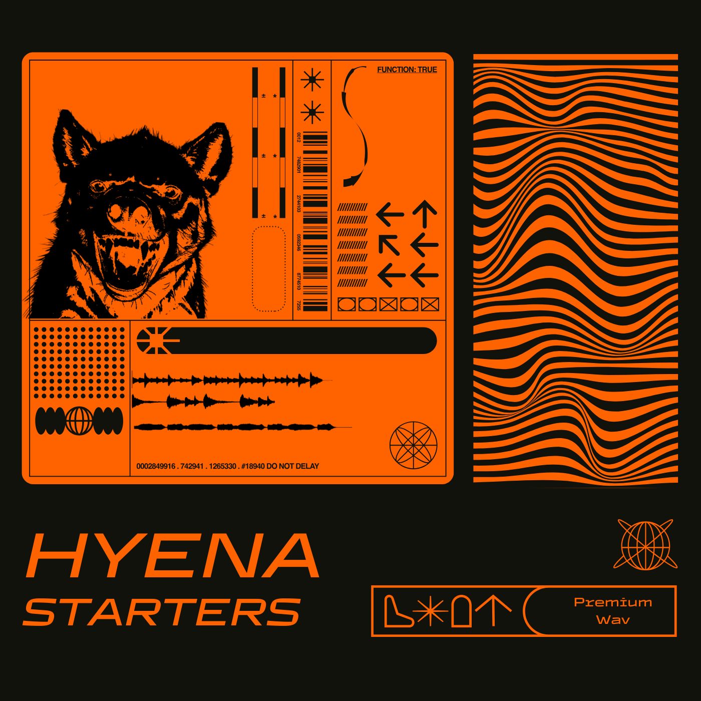 ミュージック HYENA / THE LIFESTYLE RELEASE PARTY DVD Hyena - Exclusive Trap Collection – Premium Wav